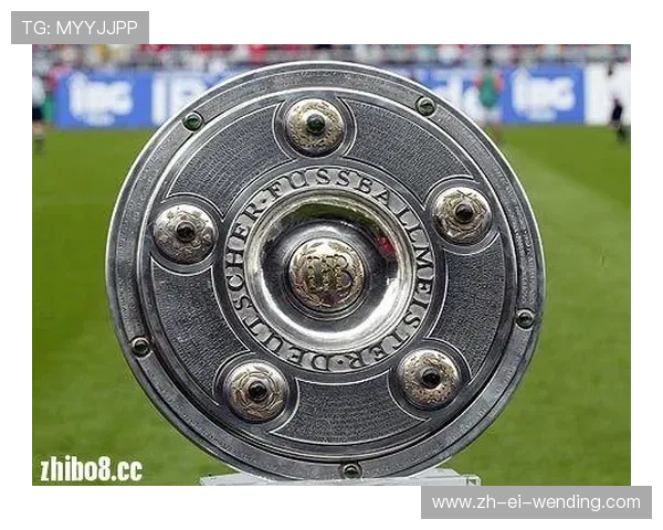 德甲球队各项奖杯成就与历史回顾